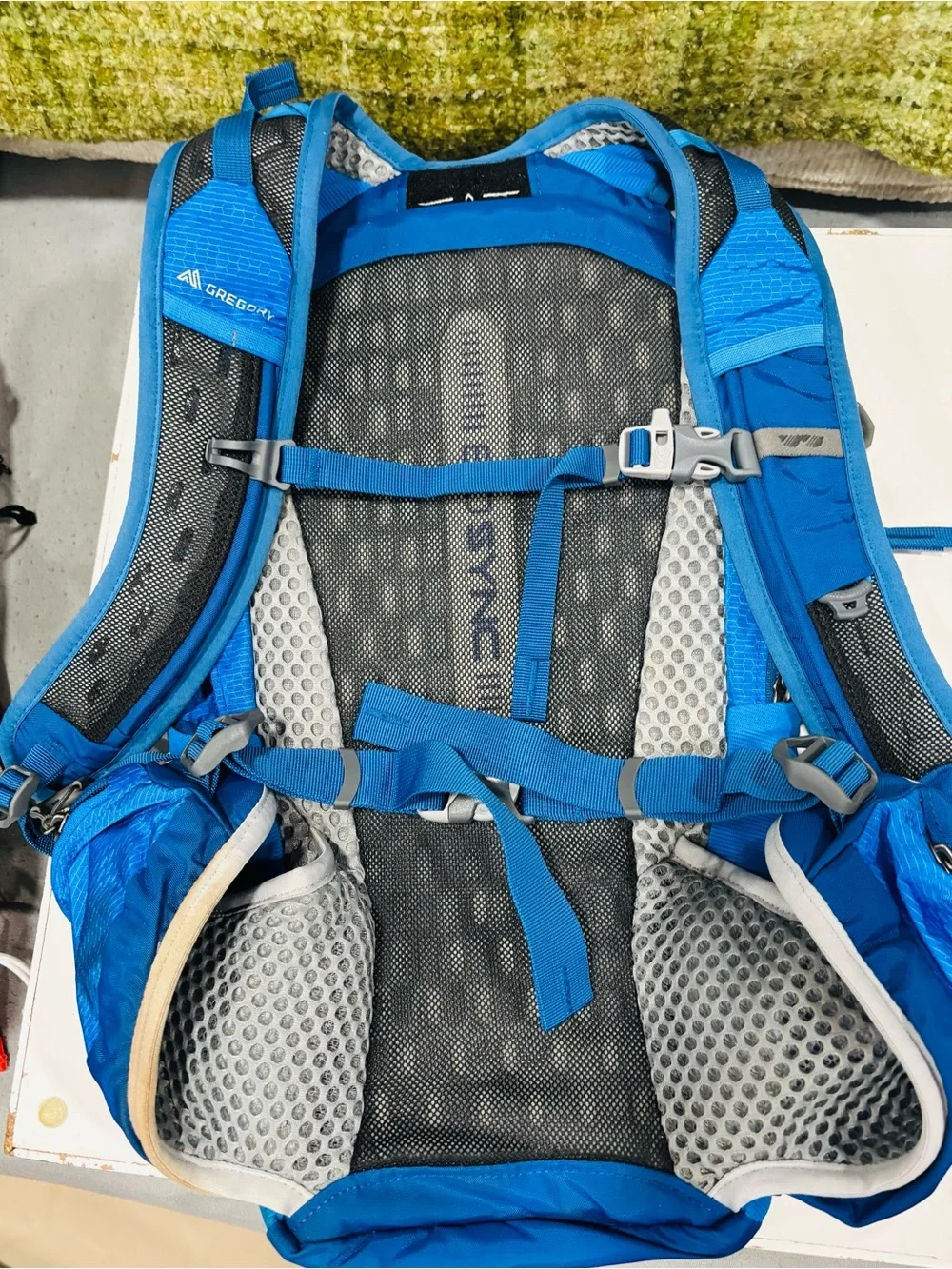 Gregory Blue Hydration Daypack - Men's Lightweight Backpack